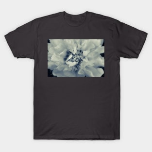 Peony Portrait Monotone T-Shirt